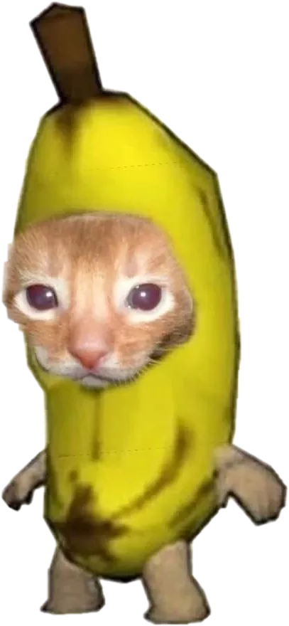 Кот банан фото meperdonas meperd0nas 305068910258211 by @lightyoonseok in 2023 Banana funny, Ca