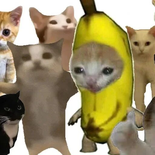 Кот банан фото Steam Workshop::hapy hapy hapy cat