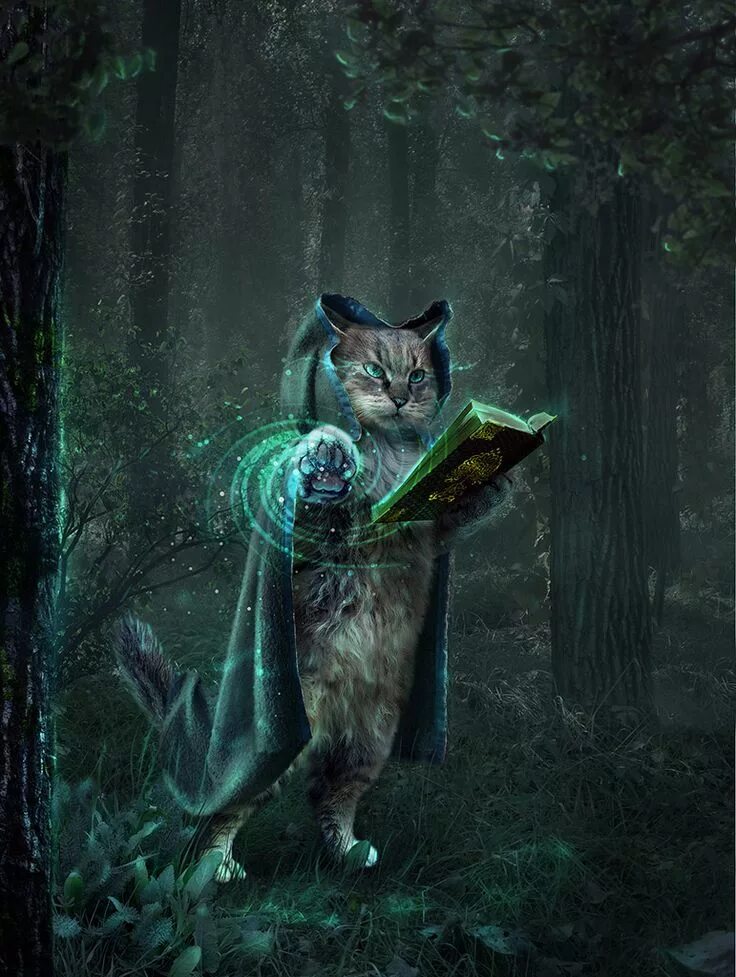 Кот баюн фото Pin by Анжелика on Клуб Cat memes, Cats, Animals