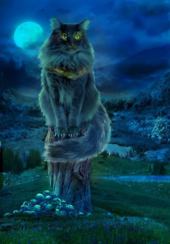 Кот баюн фото Расскажи нам, кот Баюн." / Архив номеров / ВЕЛИКОРОССЪ