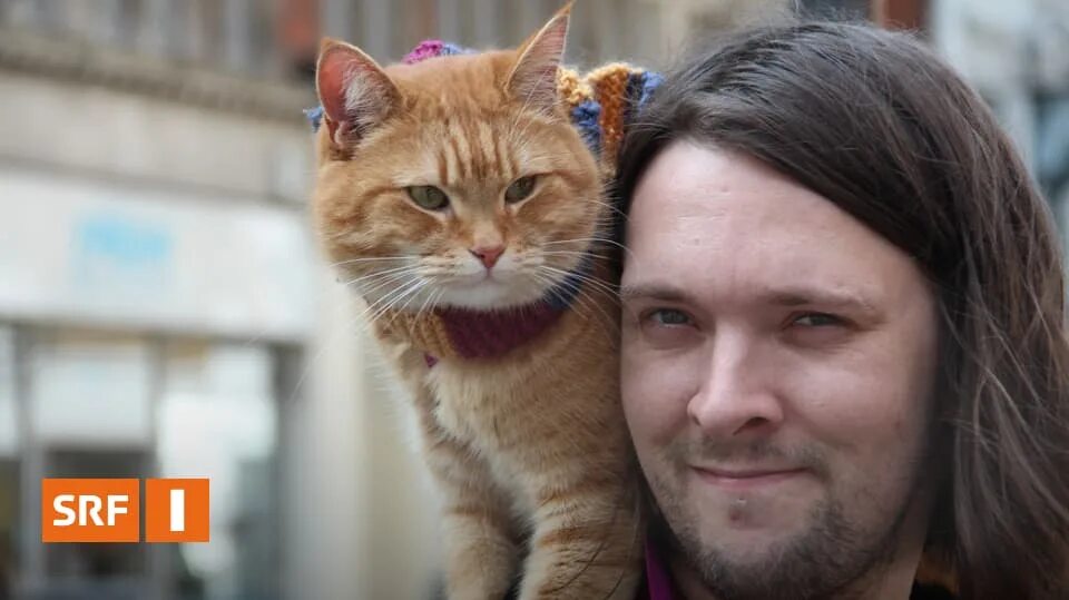 Кот боб фото реальное Radio SRF 1 - Nicht ohne meinen Kater - Radio SRF 1 - SRF