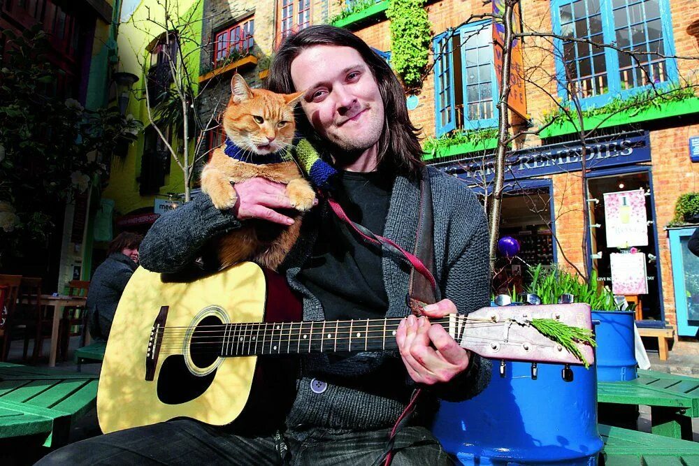 Кот боб фото реальное StreetCat Bob (@StreetCatBob) Twitter Street cat bob, Cat names, Pets cats