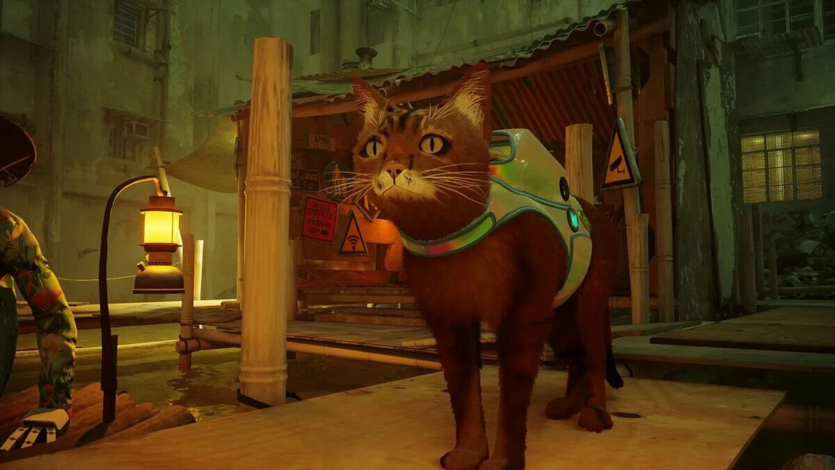 Кот дремот фото из игры Stray - Мейн Кун / Существа и монстры / Персонажи и игроки