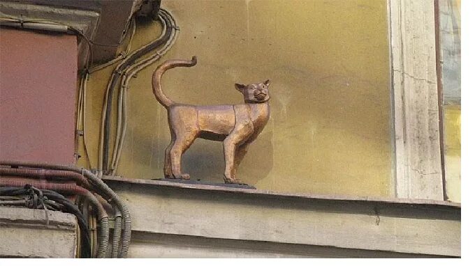 Кот елисей малая садовая ул 8 фото Найден пропавший памятник блокадной кошке Василисе