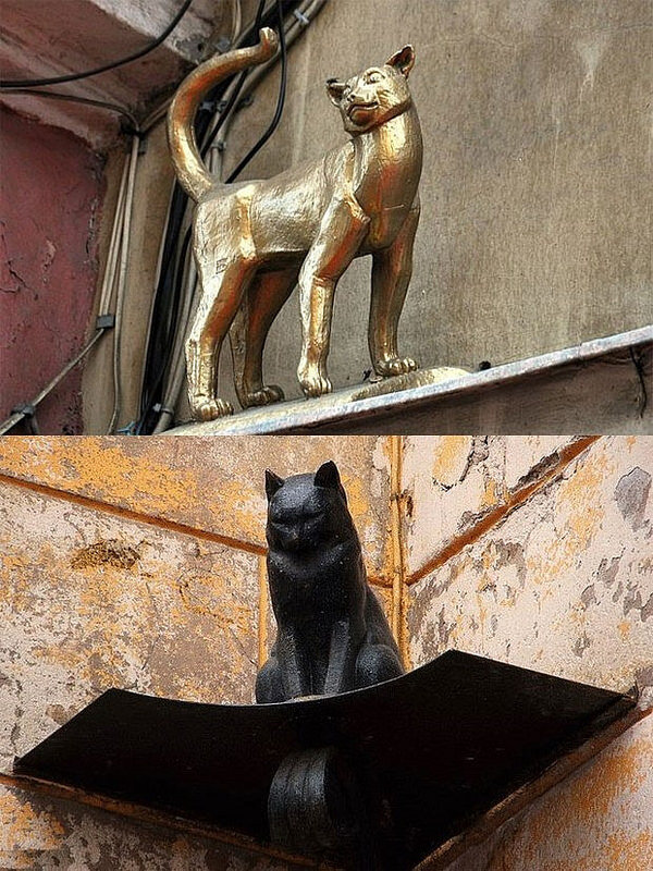 Кот елисей малая садовая ул 8 фото Куда пропадает Чижик Пыжик? Экскурсии по Санкт-Петербургу Трофим Егоров Дзен