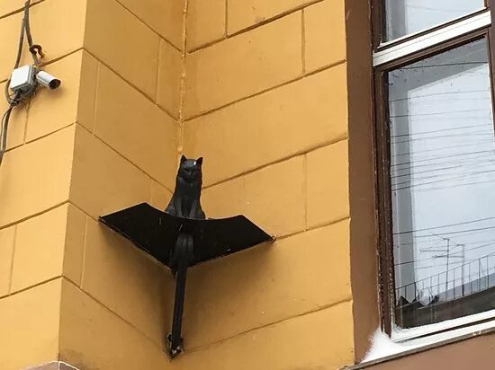 Кот елисей малая садовая ул 8 фото Санкт-Петербург. Улица Малая Садовая. Кот Елисей - Picture of Cats Elisey and Va