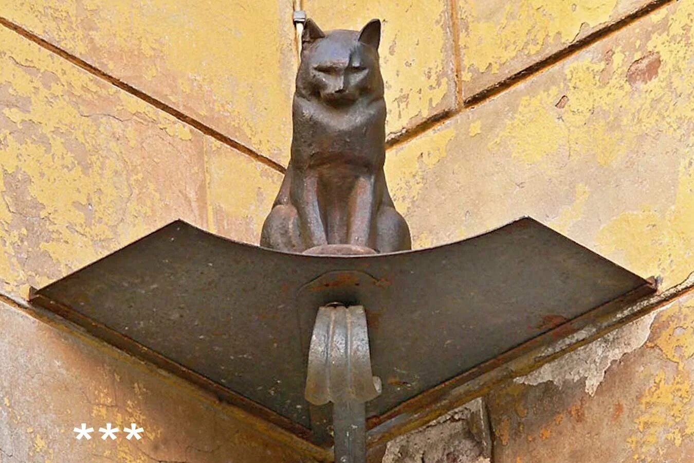 Кот елисей малая садовая ул 8 фото Кошки на Малой Садовой Санкт-Петербург, фотографии, история, как добраться.