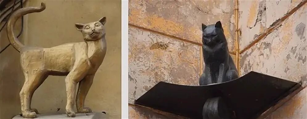 Кот елисей малая садовая ул 8 фото В госпитале для ветеранов войн Калининградской области: "Литературная гостиная" 