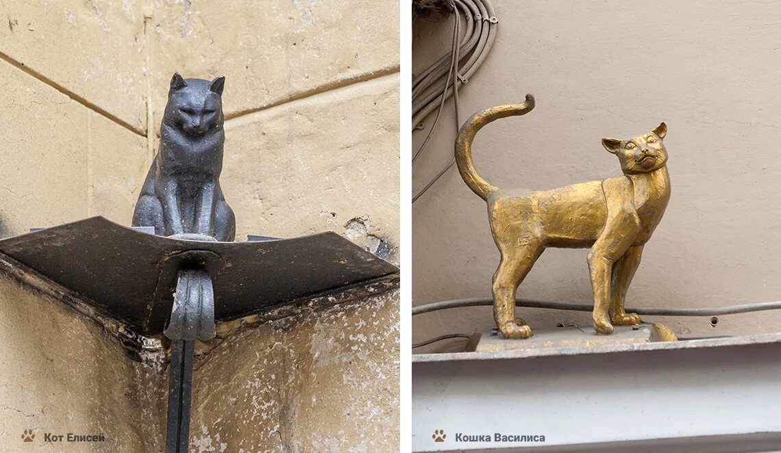 Кот елисей малая садовая ул 8 фото Памятники кошкам