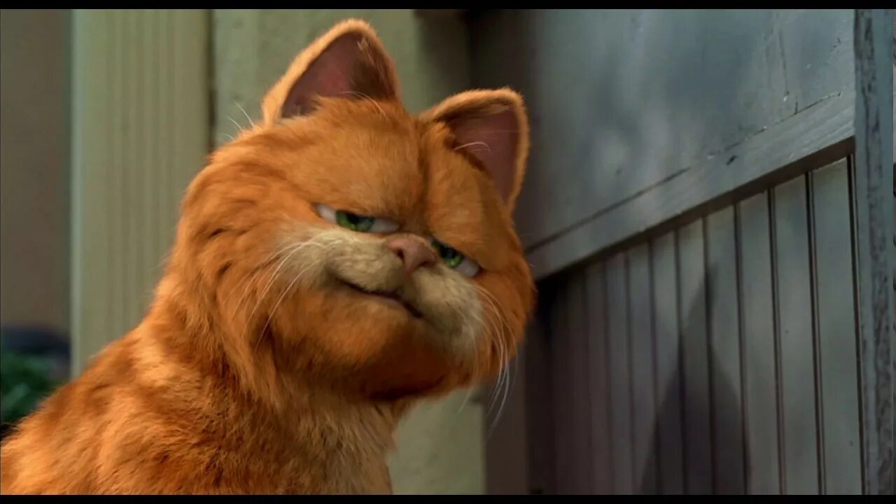 Кот гарфилд фото you reposted in the wrong garfielf - YouTube