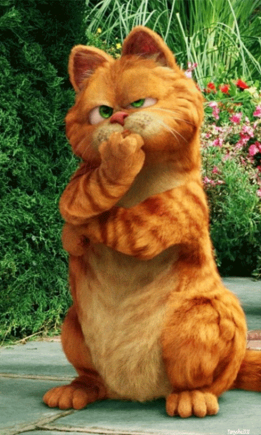 Кот гарфилд фото Pin by ALLEGRA SAVE on TERNURAS Cute cats, Cute animals, Garfield cartoon