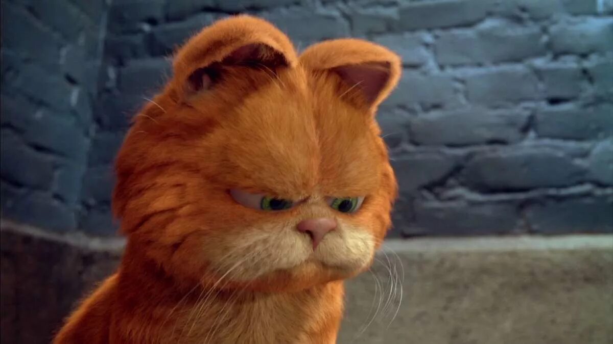 Кот гарфилд фото Глава PETA призвала не унижать животных словом "питомцы"
