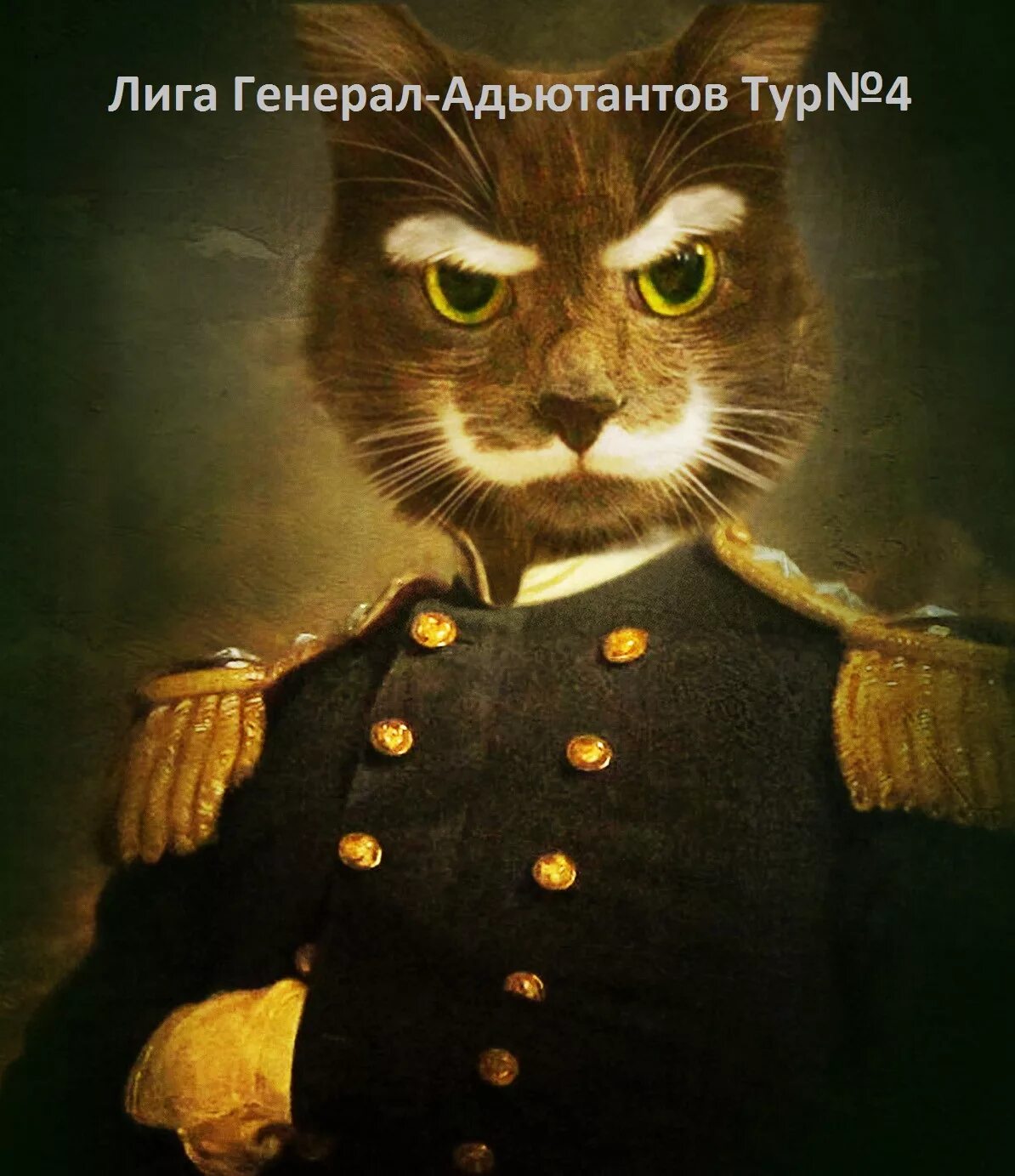Кот генерал фото Лига Генерал-Адъютантов. Четвертый тур. - Магия в Петербурге - TOPDeck.ru