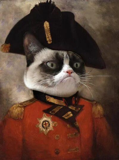 Кот генерал фото http://society6.com/product/angry-cat-general_print Angry cat, Cats, Cat art