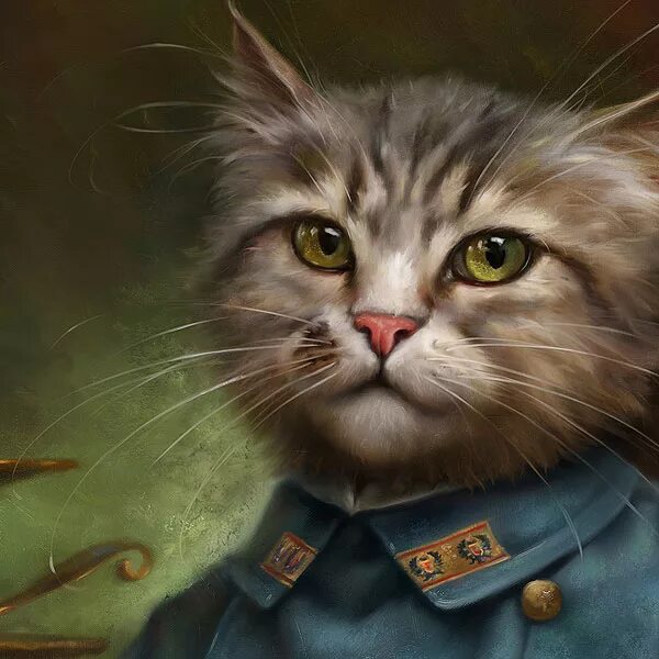 Кот генерал фото The Hermitage Court Confectioner Apprentice Cat :: Behance