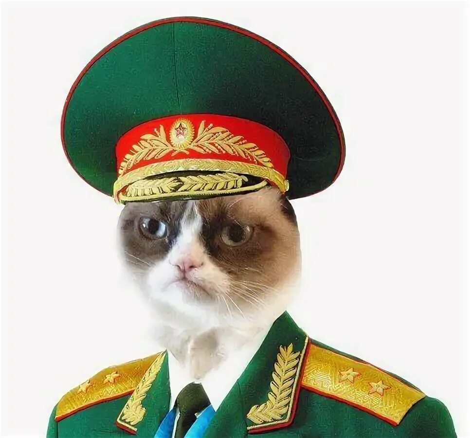 Кот генерал фото Pin on альбом / ЗАКЛАДОК Hats, Visor, Fashion