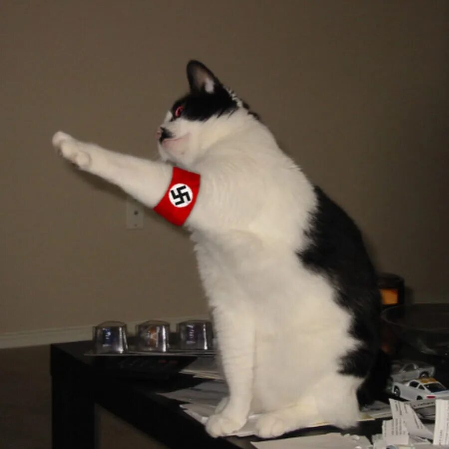 Кот гитлер фото Adolf Kitler - YouTube