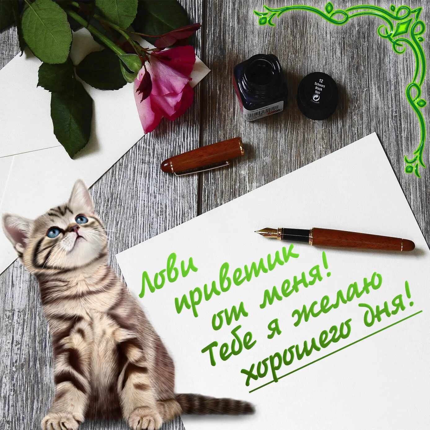 Кот хорошего дня картинки Картинка с котиком и пожеланием хорошего дня