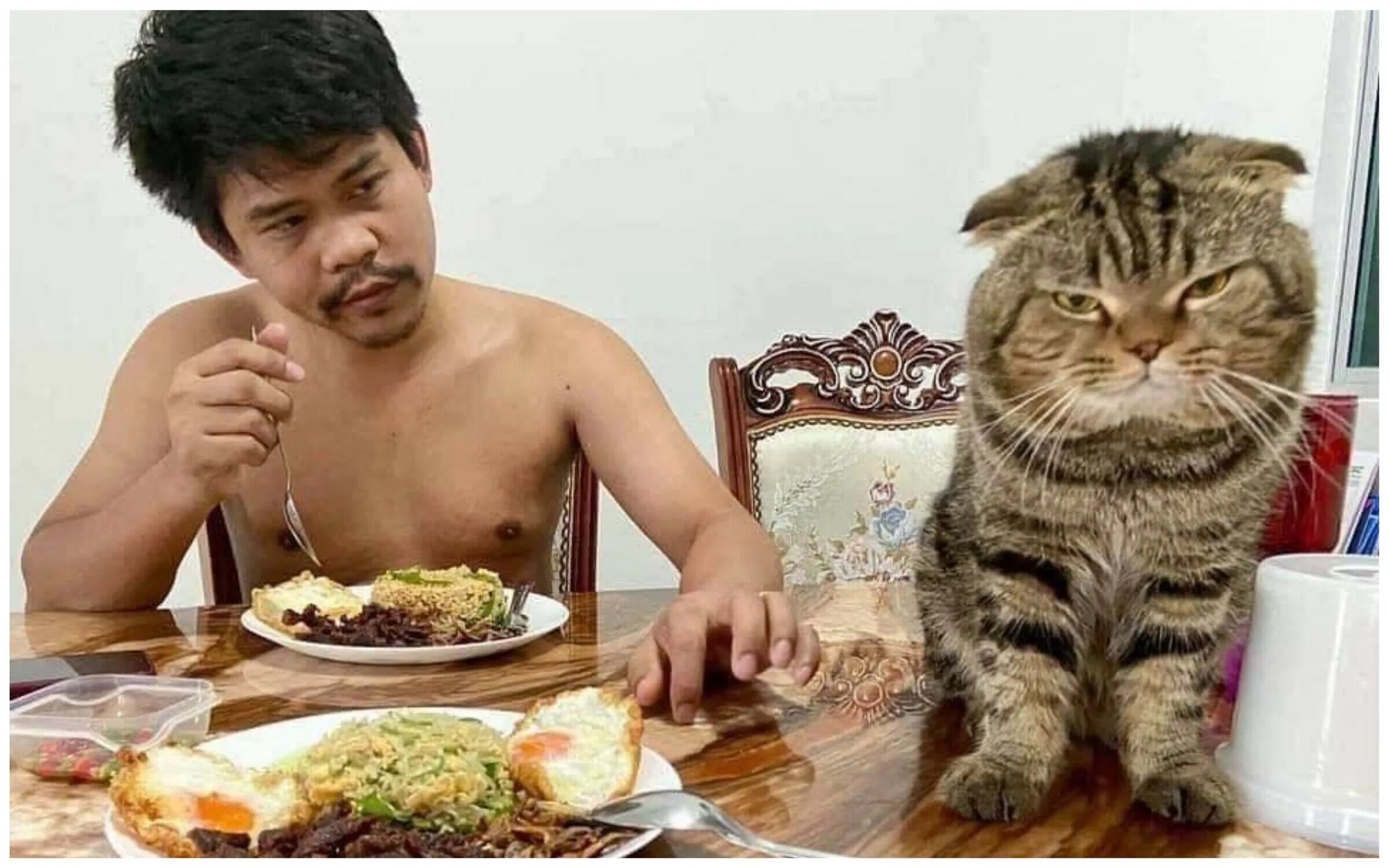 Кот хозяин фото Этот кот увел моего мужа": смешные фото ревнивого кота, который одним взглядом д