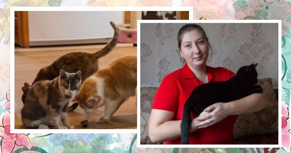 Кот и дог учинская ул 6 фото В детстве она спасла дога, которого вскоре отобрала его бывшая хозяйка и. убила!