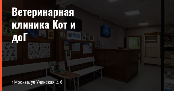 Кот и дог учинская ул 6 фото Цены на услуги Ветеринарной клиники Кот и доГ - Klinika-kotidog.ru