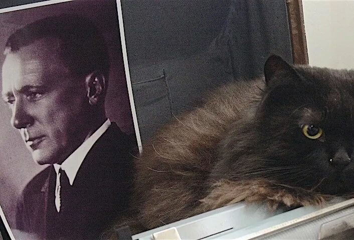 Кот и маргарита фото Михаил Булгаков Мел
