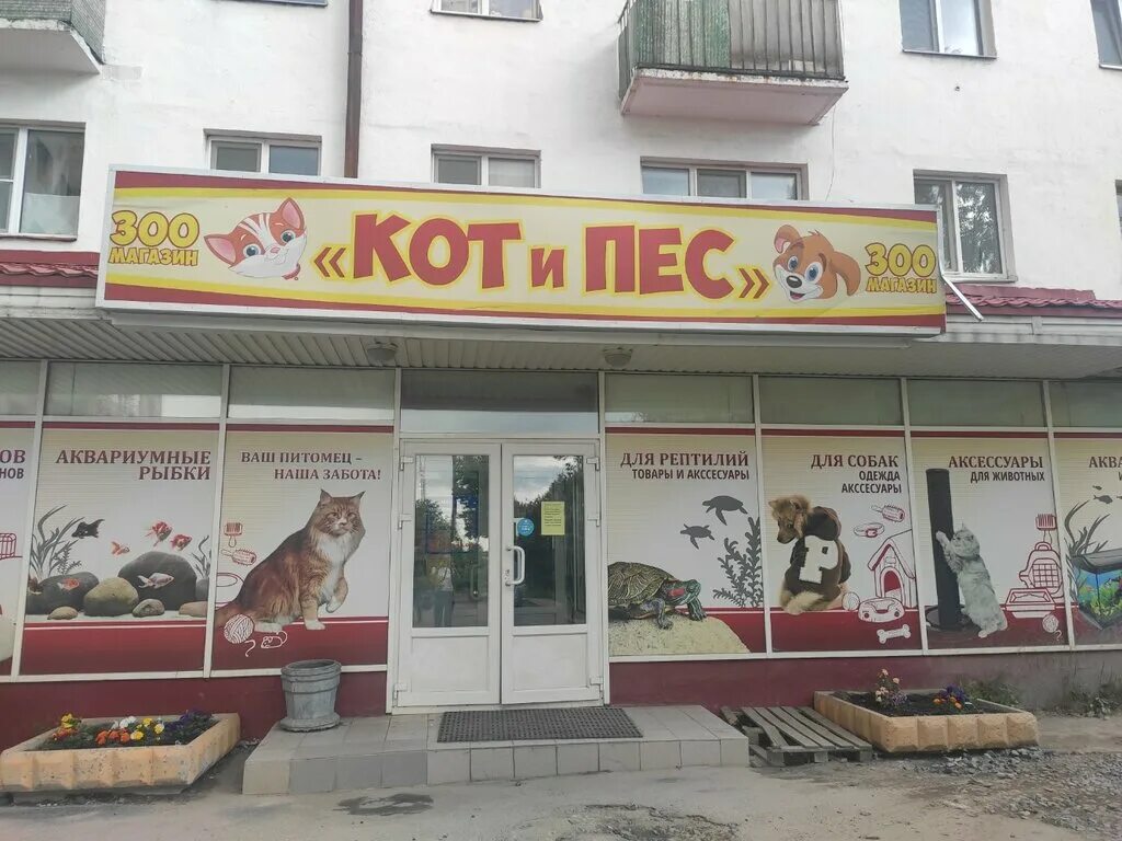 Кот и пес аграрная ул 10а фото Кот и пёс, pet shop, Arkhangelsk, Severnoy Dviny Embankment, 6к1 - Yandex Maps