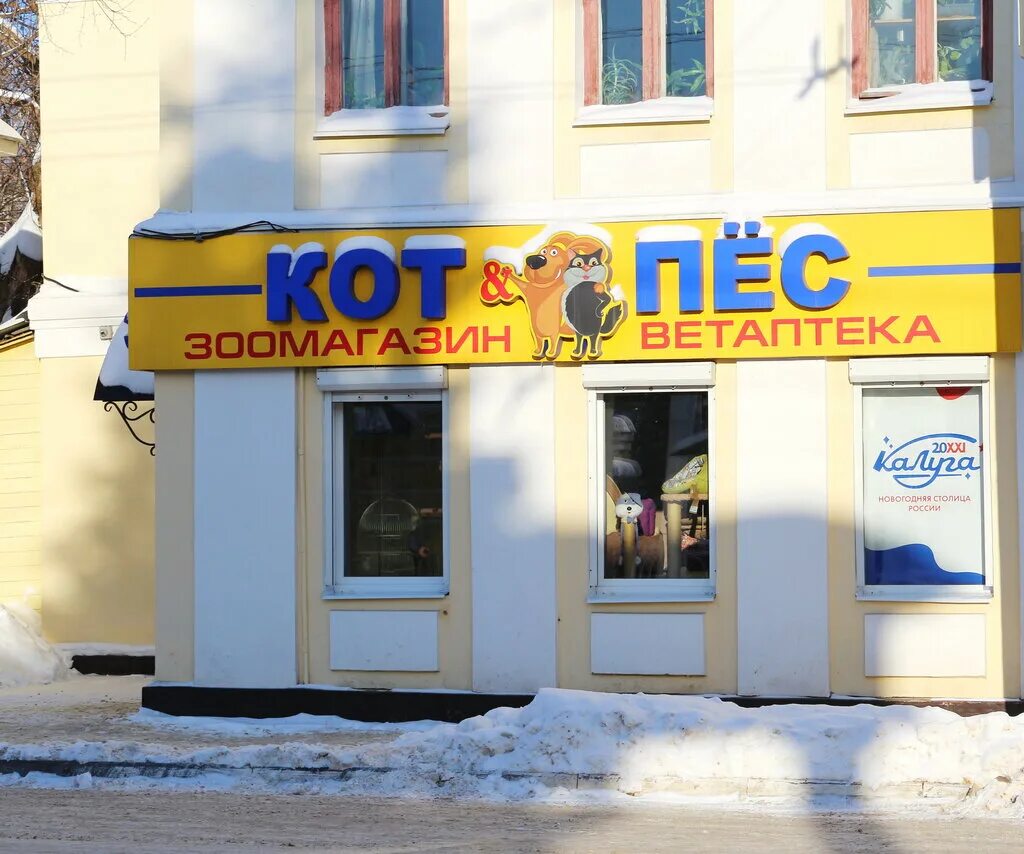 Кот и пес ул дзержинского 17а фото Кот и пёс, зоомагазин, ул. Пушкина, 5, Калуга - Яндекс Карты