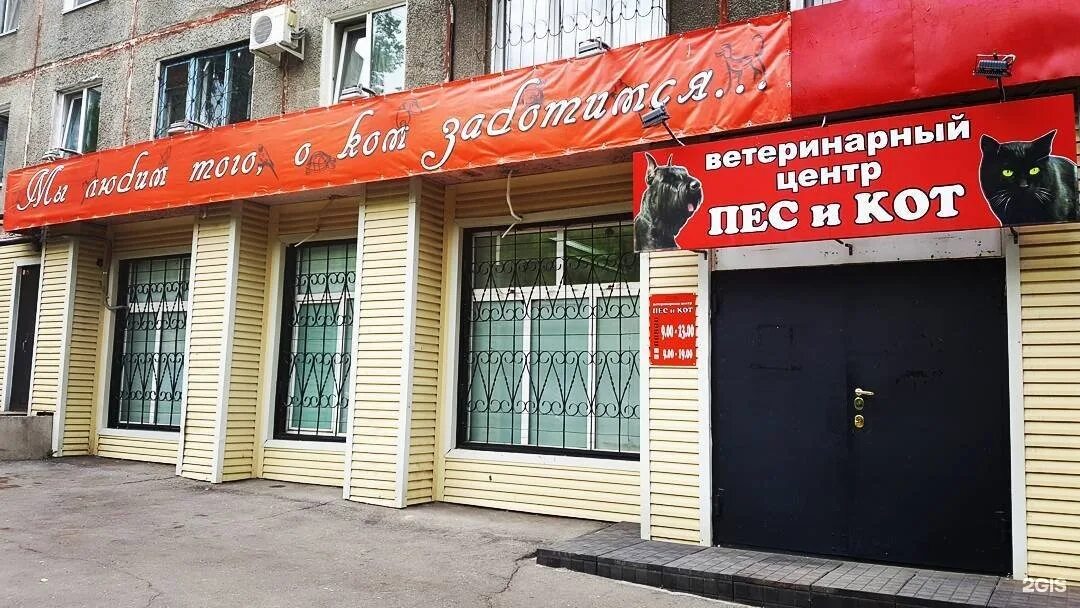 Кот и пес ул дзержинского 17а фото Пес и Кот, ветеринарный центр, Профессора Даниловского, 17, Хабаровск - 2ГИС