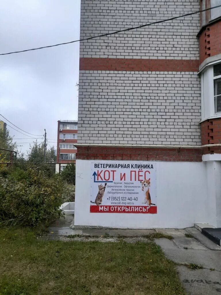Кот и пес ул дзержинского 17а фото Кот и Пëс, ветеринарная клиника, ул. Зубковой, 18, корп. 6, район Песочня, Рязан