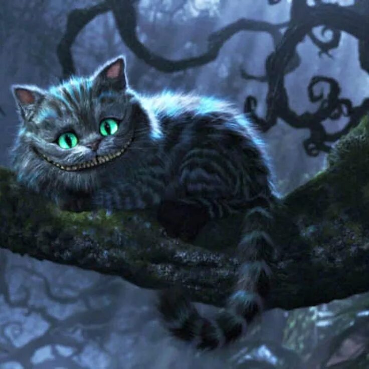 Кот из алисы в стране чудес фото Cheshire Cat Cheshire cat alice in wonderland, Cat posters, Cheshire cat art
