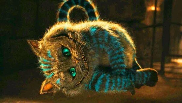 Кот из алисы в стране чудес фото Фотография Alice in wonderland, Photo, Wonderland