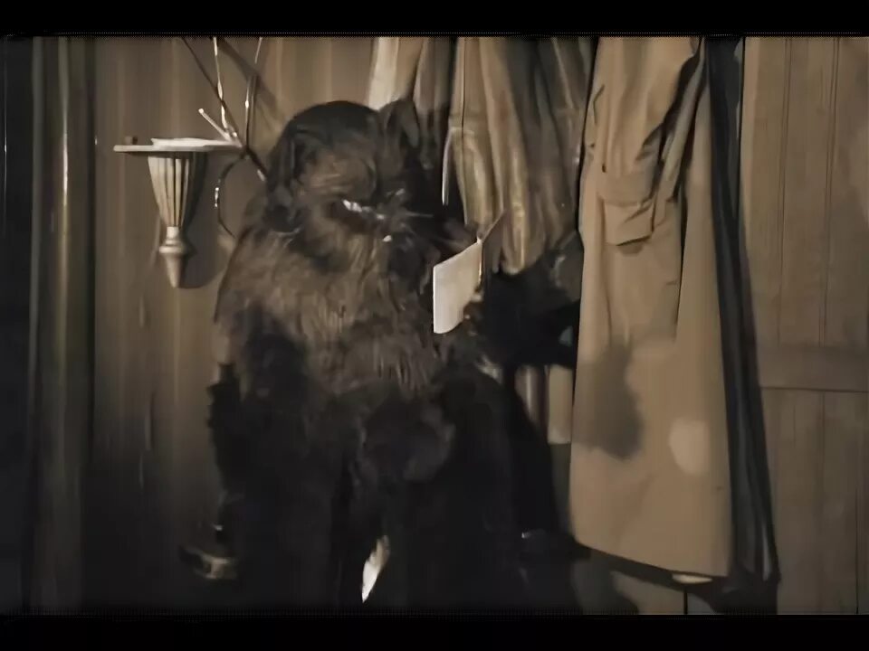 Кот из мастера и маргариты фото Кот против НКВД
