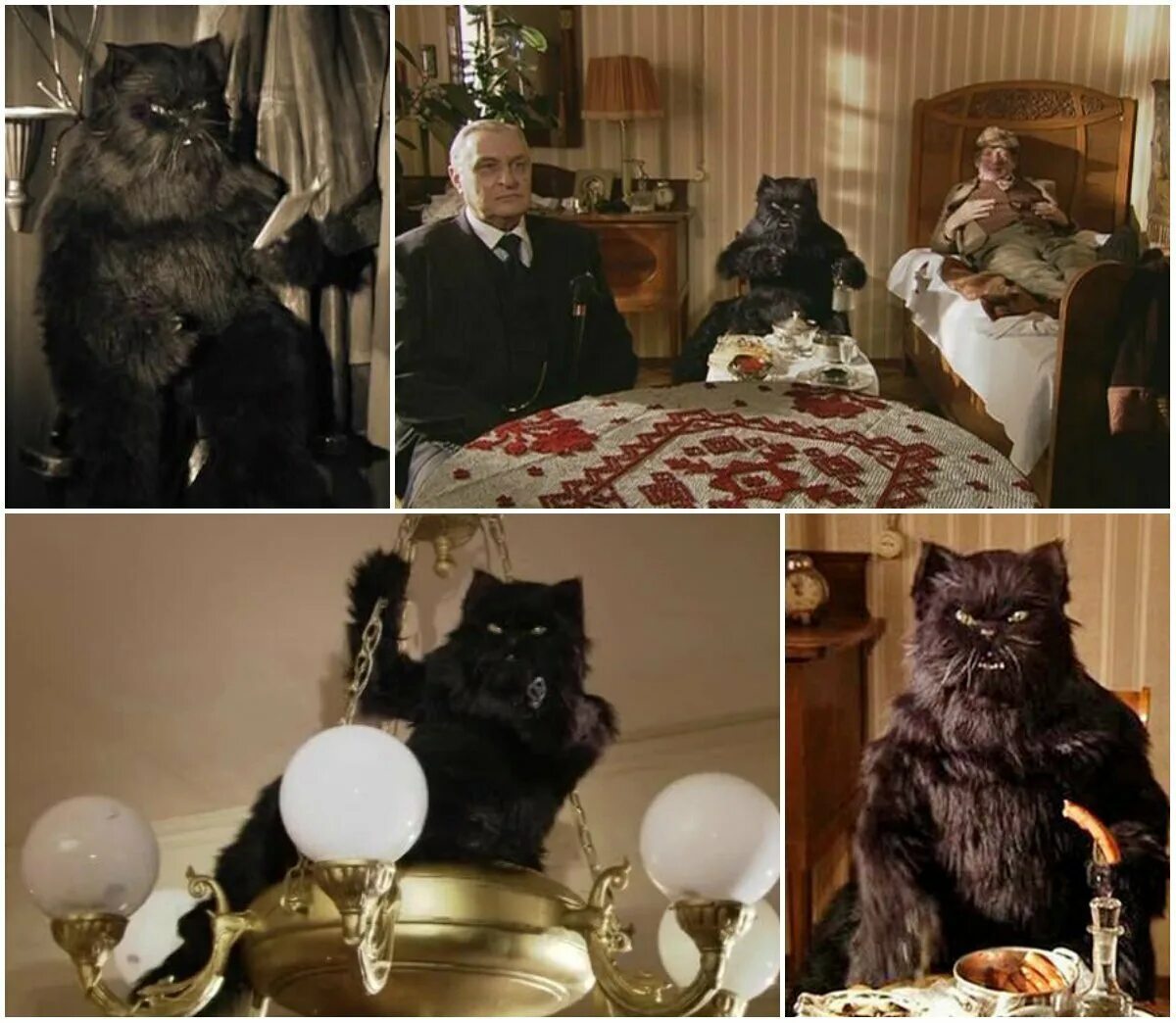Кот из мастера и маргариты фото Какой Бегемот круче всех? Сравнили котов Воланда из экранизаций "Мастера и Марга