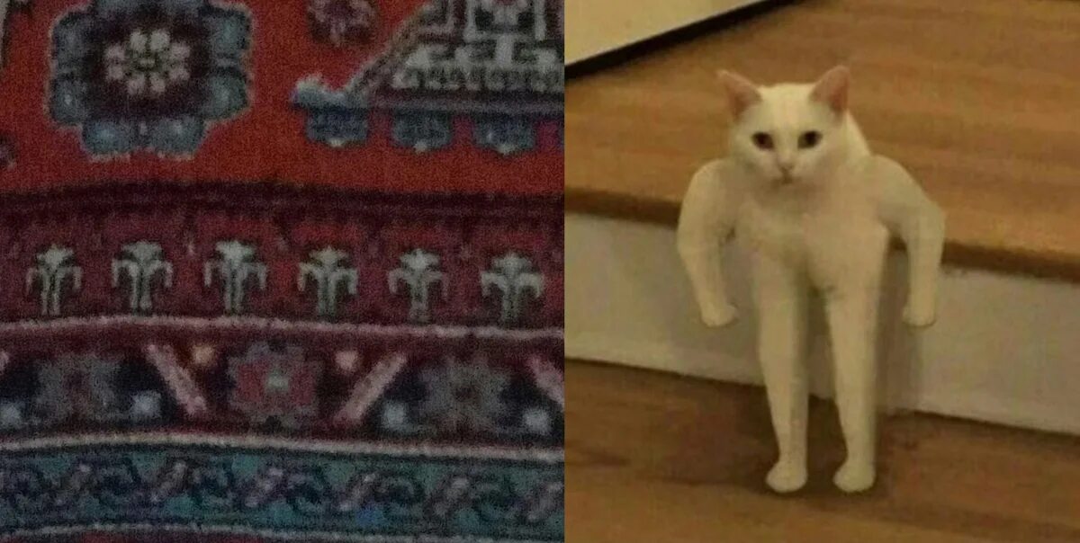 Кот качок фото А что у ваших бабушек на коврах? Пикабу