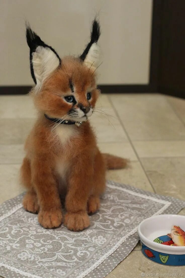 Кот каракал цена и фото Caracal (read the status ) - купить на Ярмарке Мастеров - N3REECOM Felted Toy, M