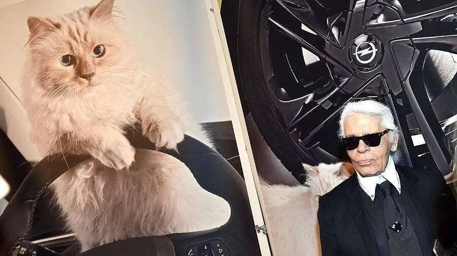 Кот карла лагерфельда фото Карл Лагерфельд (Karl Lagerfeld) - последние и свежие новости сегодня и за 2024 