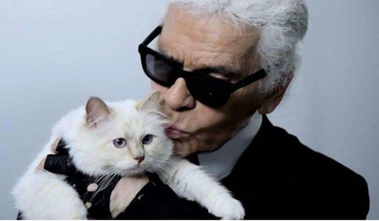 Кот карла лагерфельда фото German fashion icon and Chanel designer Karl Lagerfeld dies South China Morning 