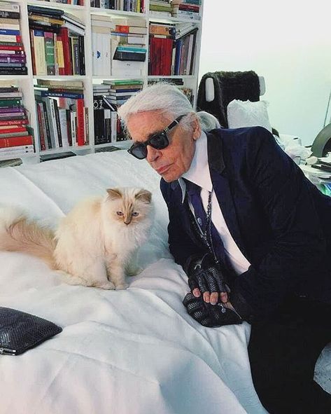 Кот карла лагерфельда фото 10 популярных идей на тему "karl lagerfeld clothes" для вдохновения