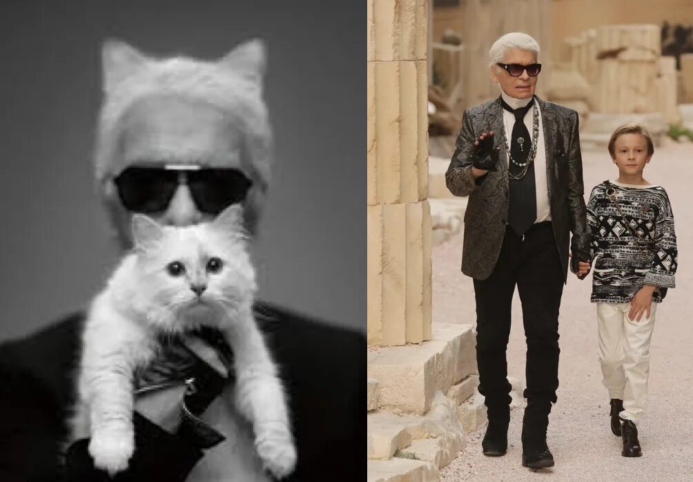 Кот карла лагерфельда фото Will Karl Lagerfeld make Choupette the world's richest cat or will his £ 150mill