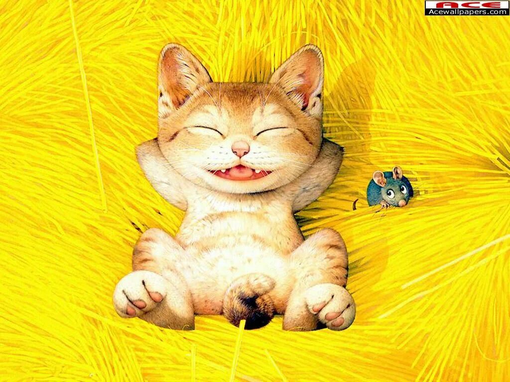 Кот картинки позитивные https://www.durmaplay.com/product/world-of-warcraft-gold-wow-altin-prepaid-cdkey