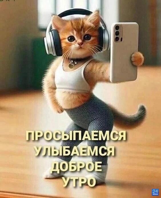 Кот картинки позитивные Отслеживание почтового отправления: CP051883910KZ