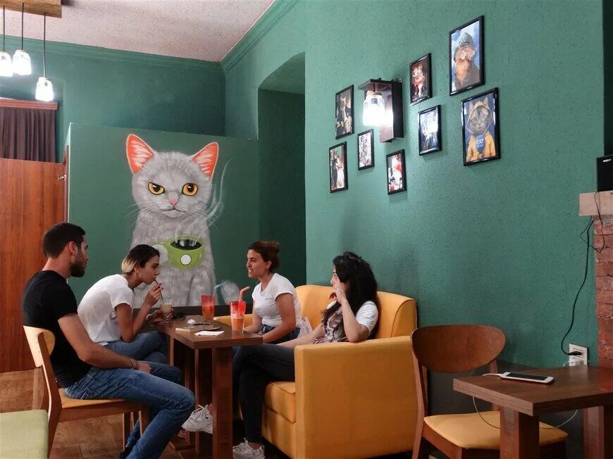Кот кофе ул трубников 24 фото Кафе с животными Petshop Journal Дзен