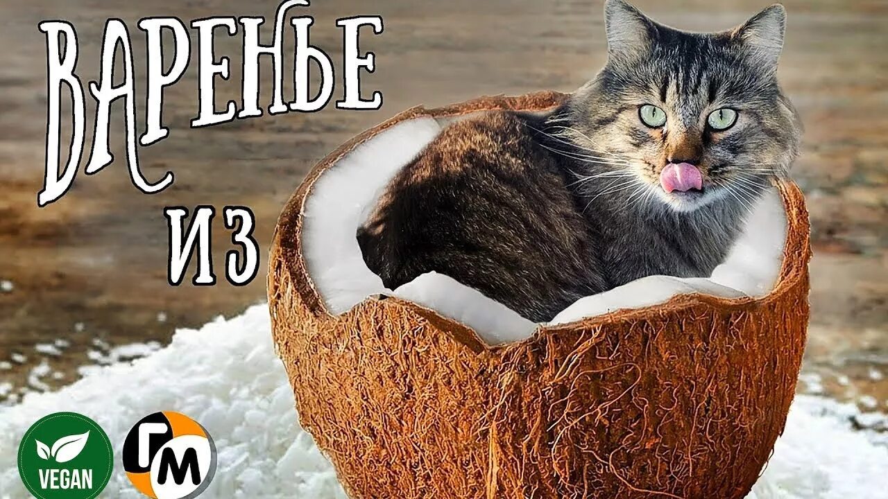Кот кокос фото КОКОСОВОЕ ВАРЕНЬЕ Как открыть кокос -- Голодный Мужчина, Выпуск 133 - YouTube