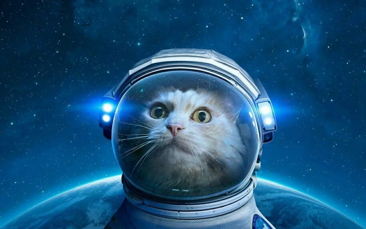 Кот космонавт фото Кото-квест "Мой любимый МУРсианин" 2023, Чапаевск - дата и место проведения, про