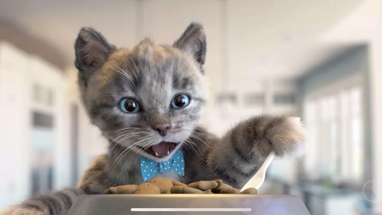 Кот крошек фото Little Kitten My Favorite Cat - Adventure Games Care for your pet kitty - A cute