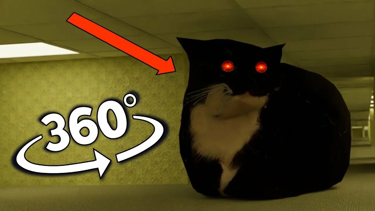 Кот максвелл фото Maxwell the cat in the Backrooms But It's 360 degree video - YouTube