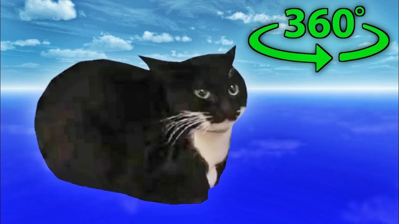 Кот максвелл фото Maxwell The Cat but it's 360 degree video - YouTube