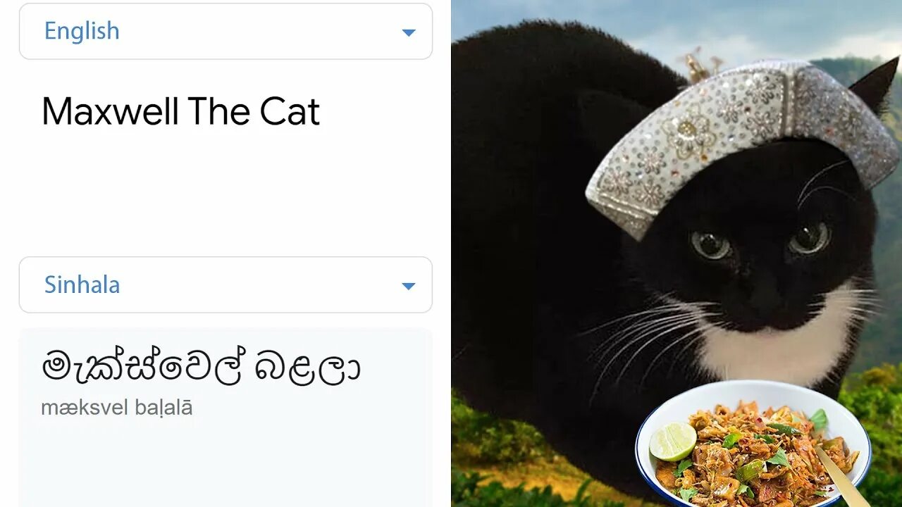 Кот максвелл фото Maxwell The Cat in different languages meme Part 2 - YouTube