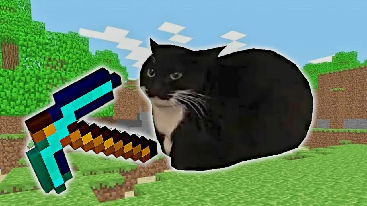 Кот максвелл фото Maxwell The Cat but it's roblox - YouTube